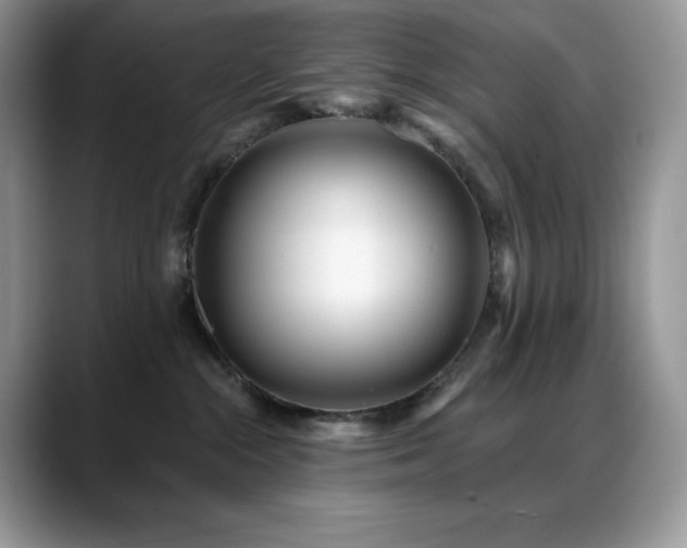 X0000088920284200706081405