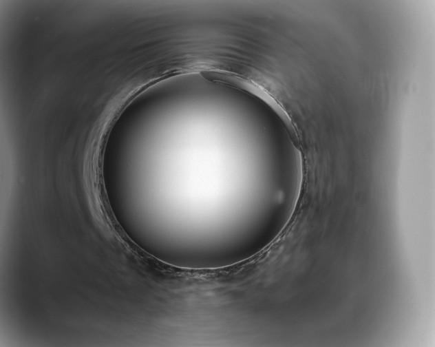 X0000088920289200706081404