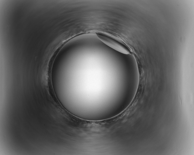 X0000088920290200706081404