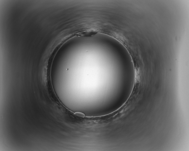 X0000088920291200706081404