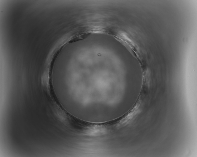 X0000088920293200706081404