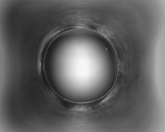 X0000088920294200706081404