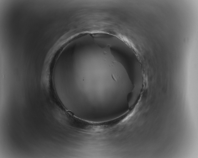 X0000088920295200706081404