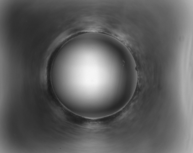 X0000088920296200706081404