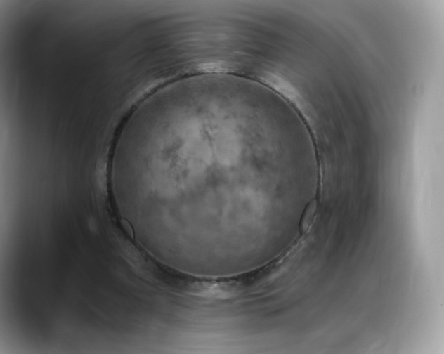 X0000088920297200706081404