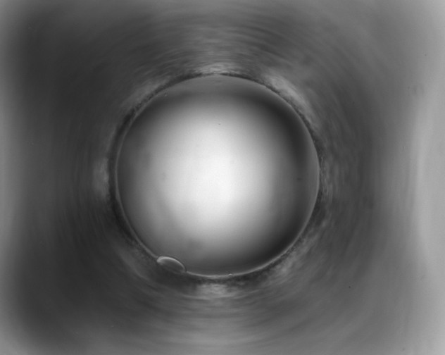 X0000088920298200706081404