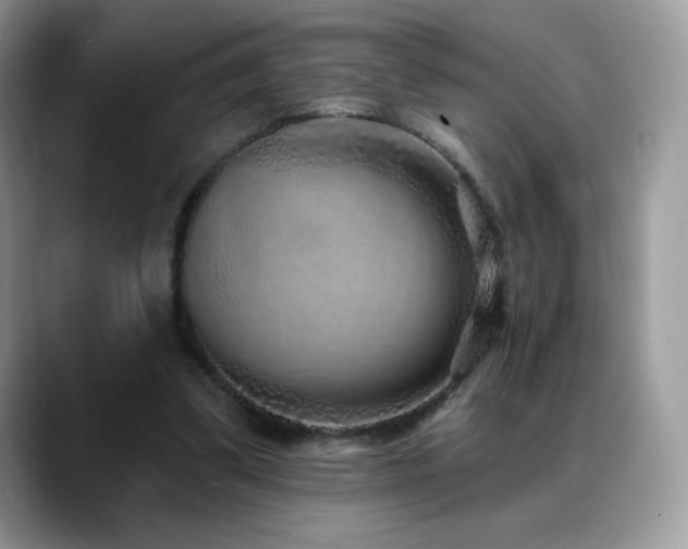X0000088920299200706081404
