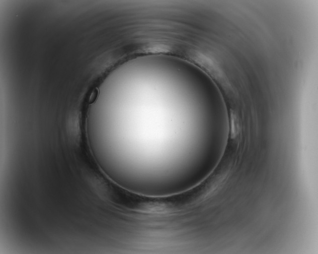 X0000088920300200706081404