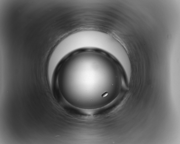 X0000088920301200706081404