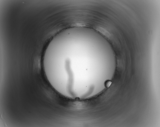 X0000088920302200706081404