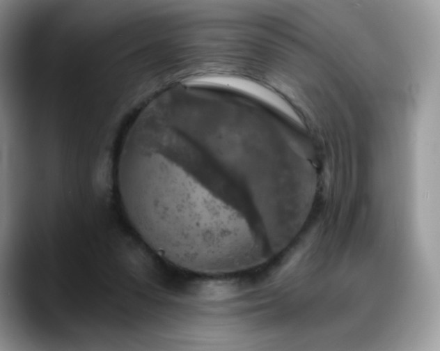 X0000088920303200706081404