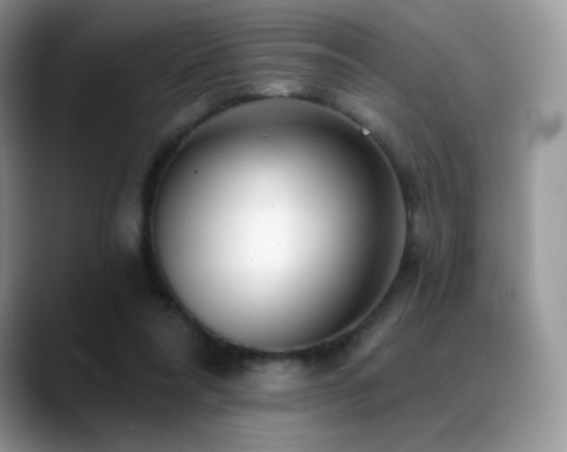 X0000088920304200706081404