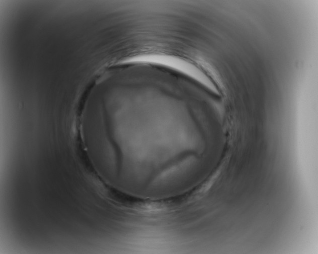 X0000088920305200706081404