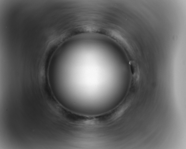 X0000088920306200706081404