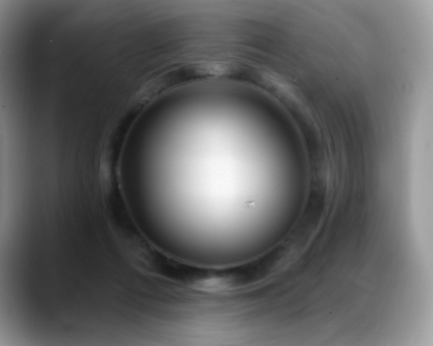 X0000088920312200706081404