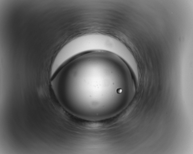 X0000088920313200706081404