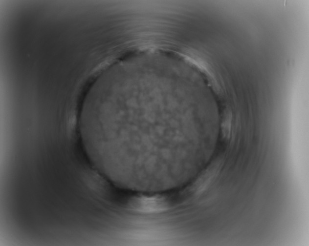 X0000088920314200706081404