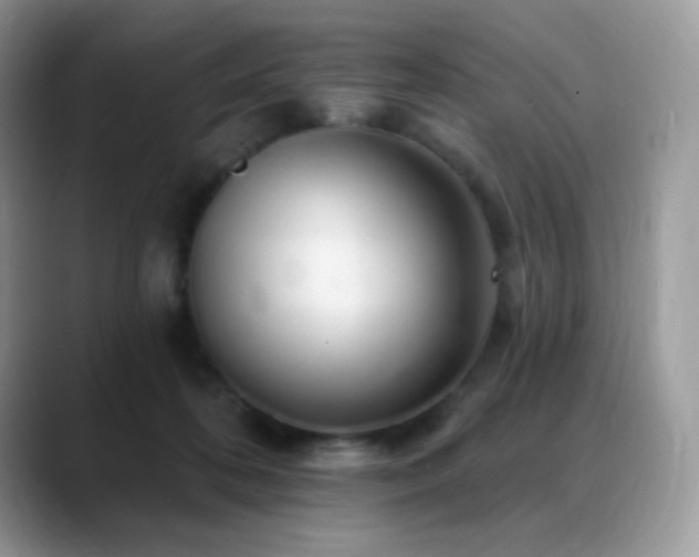 X0000088920316200706081404
