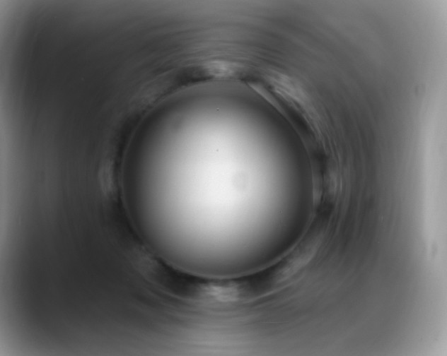 X0000088920317200706081404