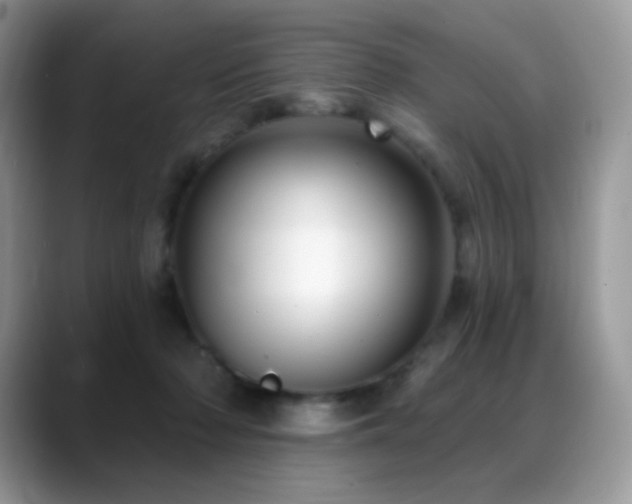 X0000088920318200706081404