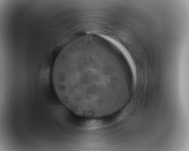 X0000088920319200706081404