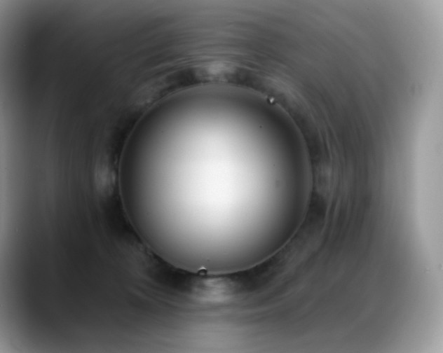 X0000088920324200706081404