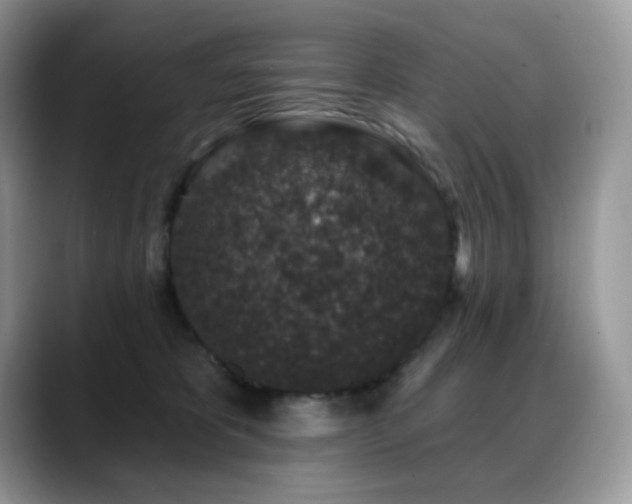 X0000088920325200706081404