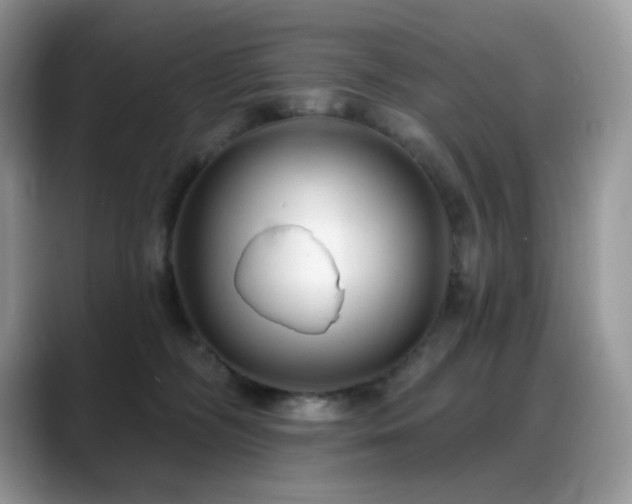 X0000088920326200706081404