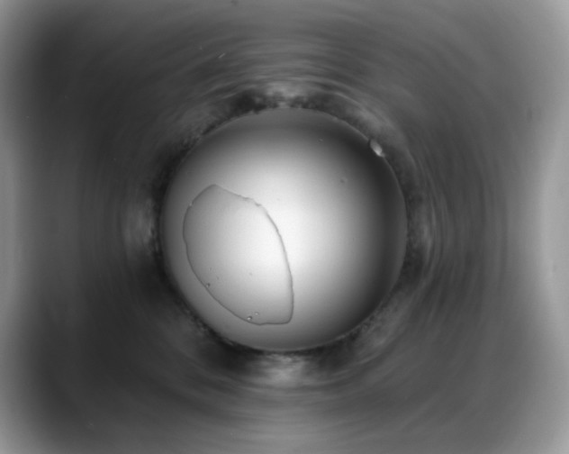 X0000088920328200706081404