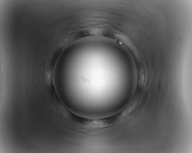 X0000088920329200706081404