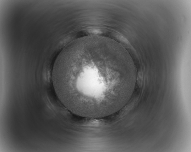 X0000088920330200706081404
