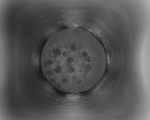 X0000088920331200706081404