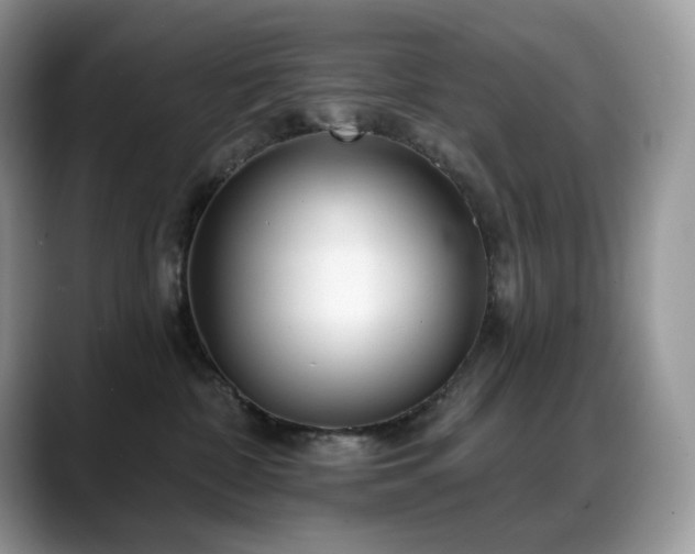 X0000088920332200706081404