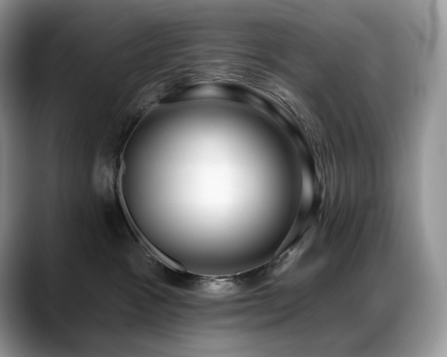 X0000088920333200706081404