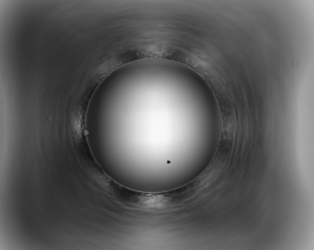 X0000088920334200706081404