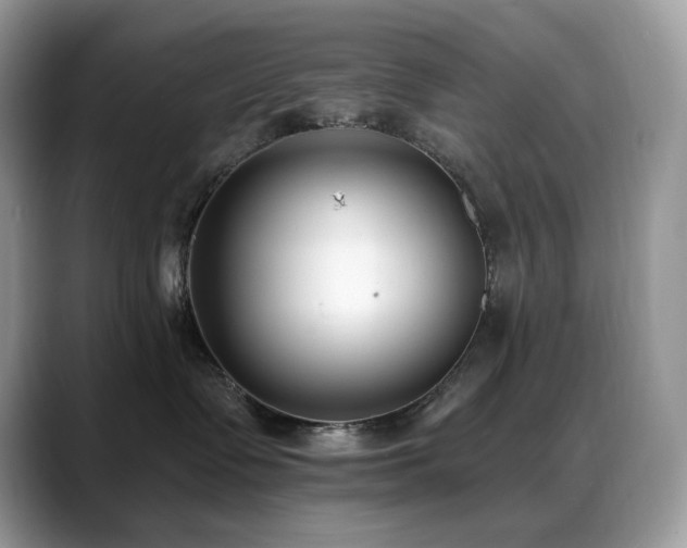 X0000088920335200706081404