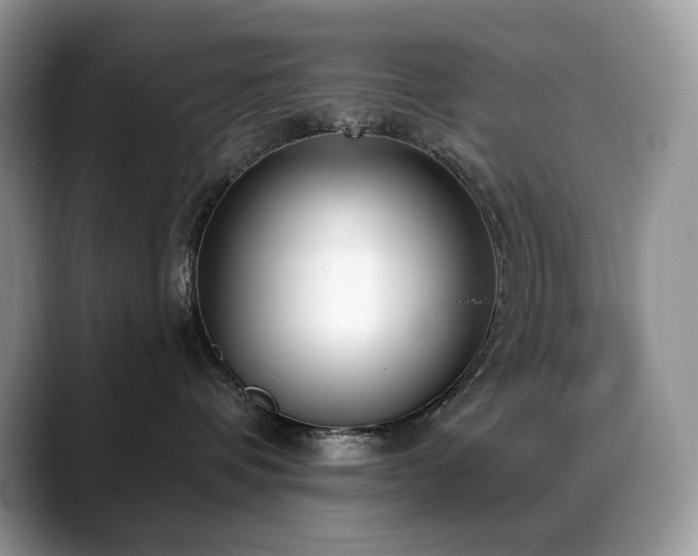 X0000088920336200706081404