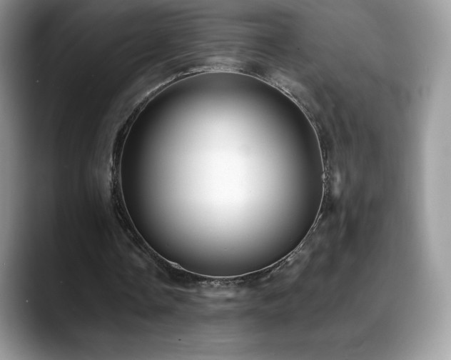 X0000088920338200706081403