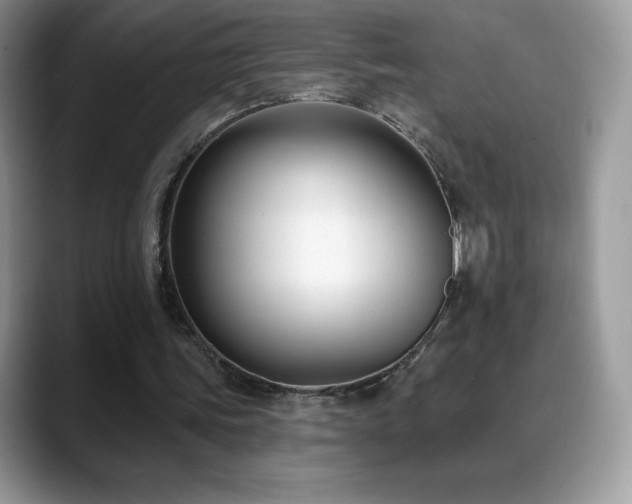 X0000088920339200706081403