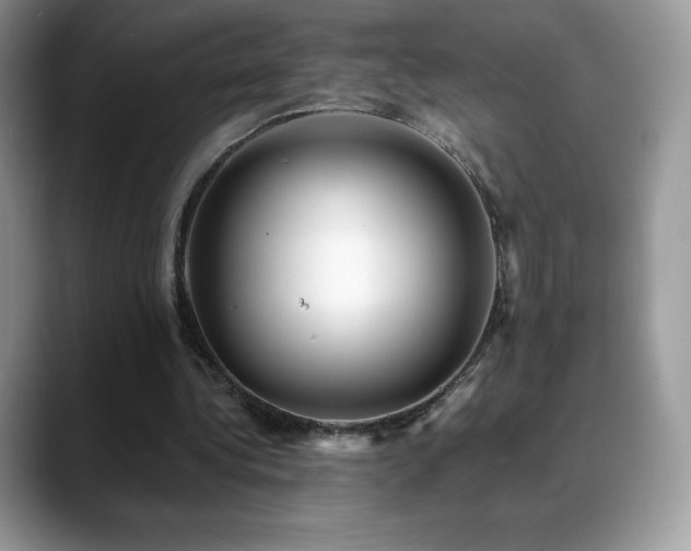 X0000088920340200706081403