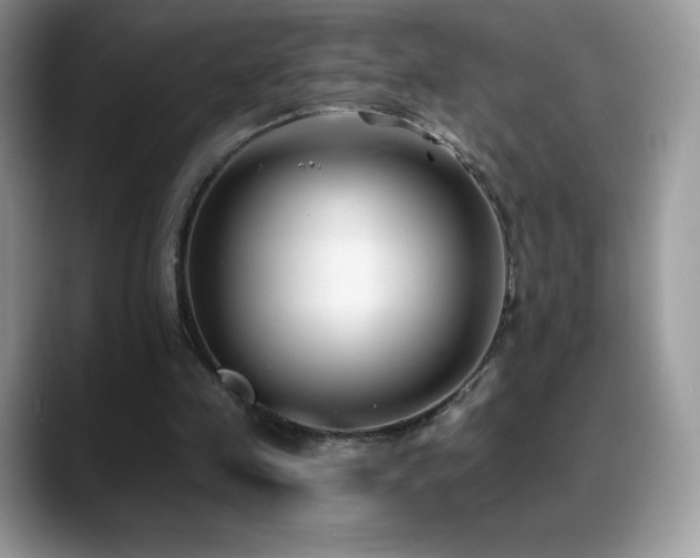 X0000088920341200706081403