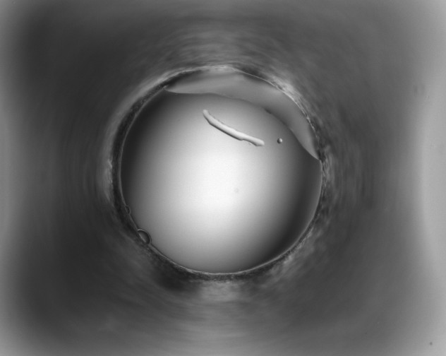 X0000088920342200706081403