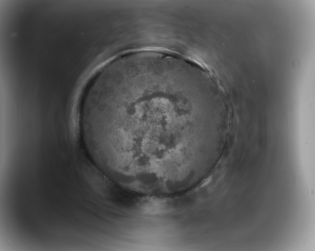 X0000088920343200706081403