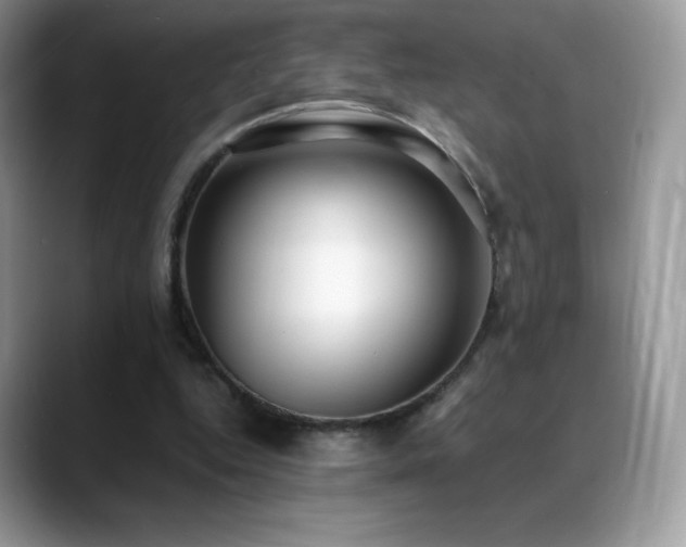 X0000088920344200706081403