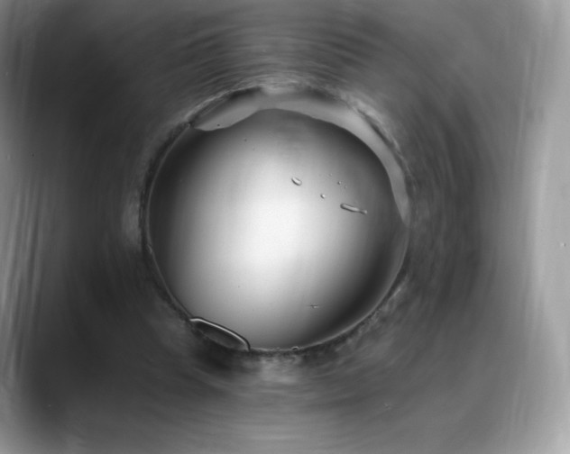 X0000088920345200706081403