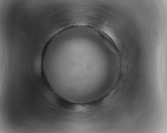 X0000088920346200706081403