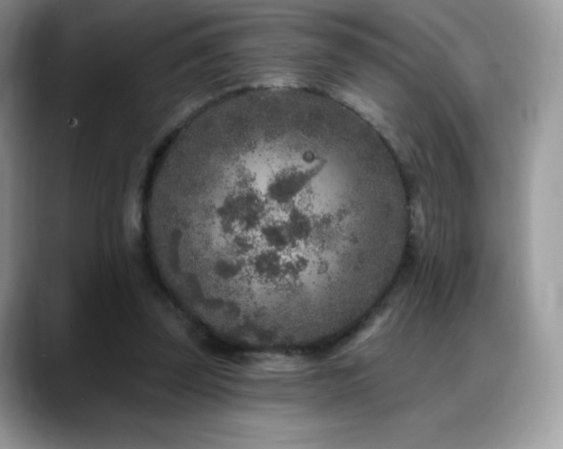 X0000088920347200706081403