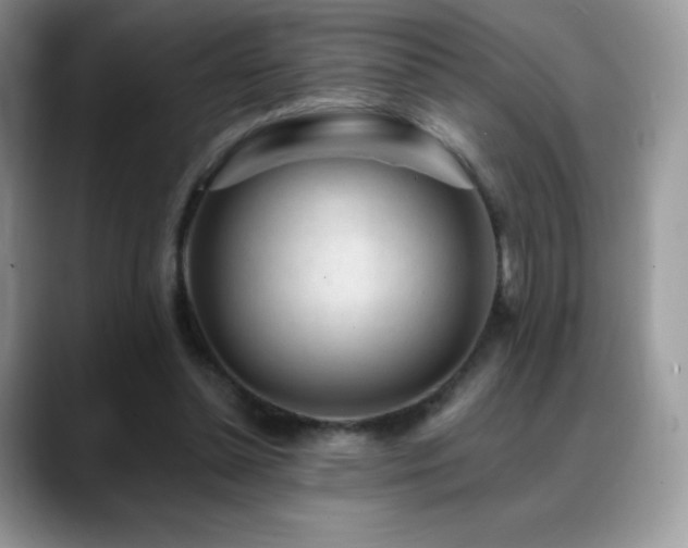X0000088920348200706081403