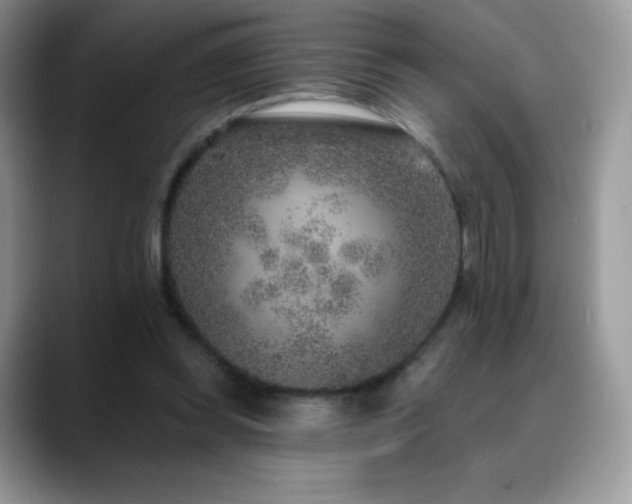 X0000088920349200706081403