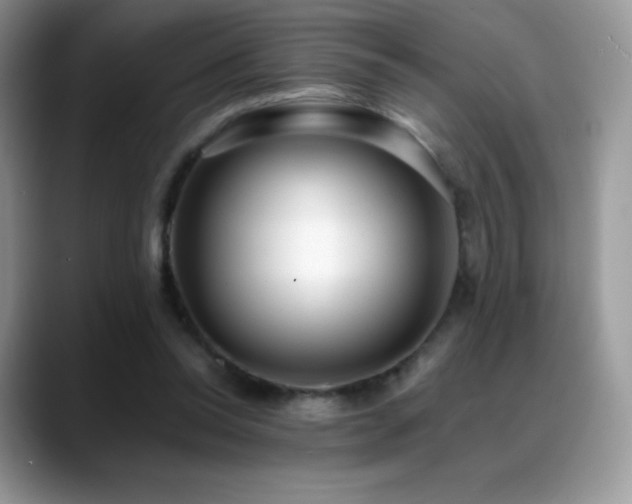 X0000088920350200706081403